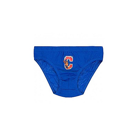 Set 3 chiloti pentru băieți, multicolor, Paw Patrol [2]