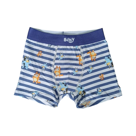 Set 2 perechi boxeri, băieți, multicolor, Happy, Bluey [1]