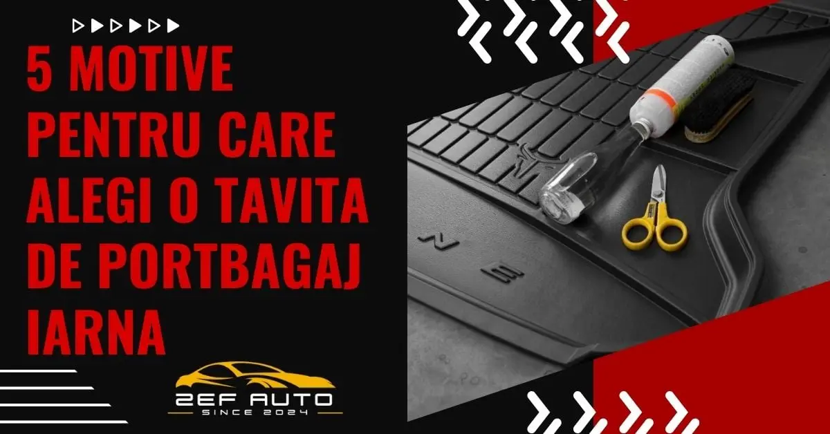 5 motive pentru care ai nevoie de o tavita de portbagaj in sezonul rece