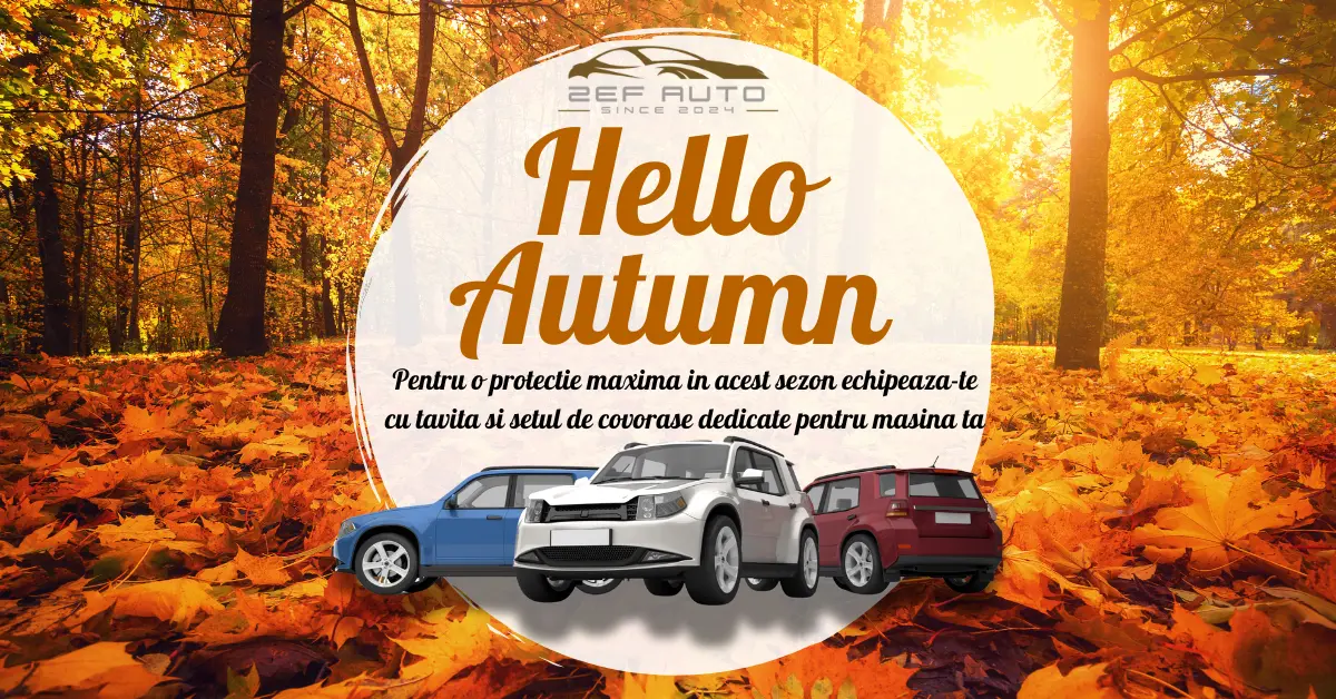 Cum iti protejezi masina toamna: tavite de portbagaj si covorase auto care fac diferenta