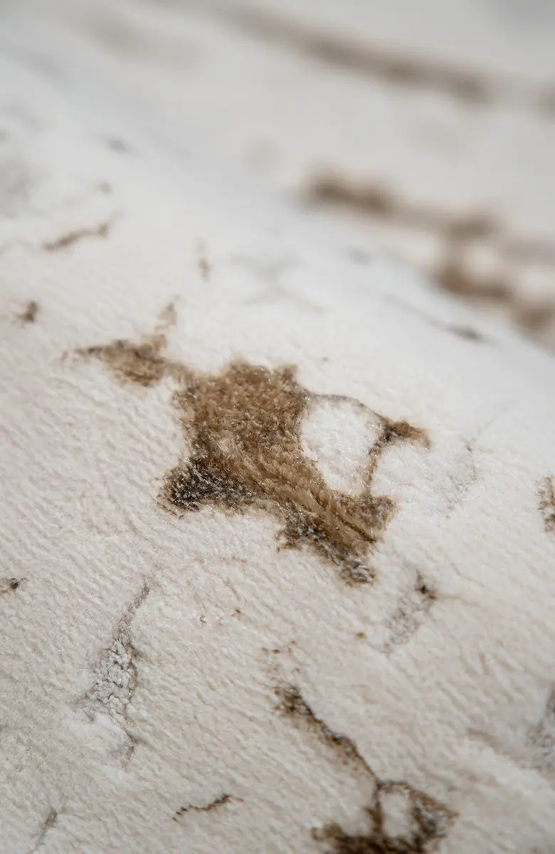 Covor modern Kingston Ivory Strata crem cu design abstract pentru living [3]