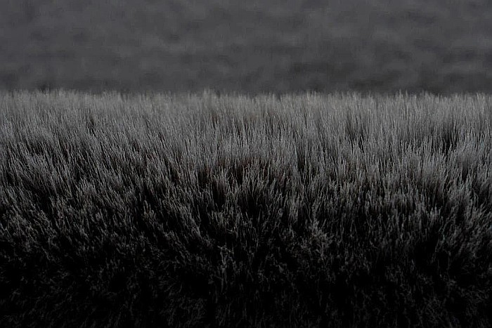 Covor Pufos Blană Softline Antracite [7]