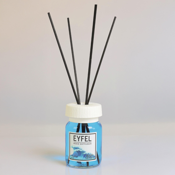 Odorizant camera Eyfel Ocean 120ml [3]