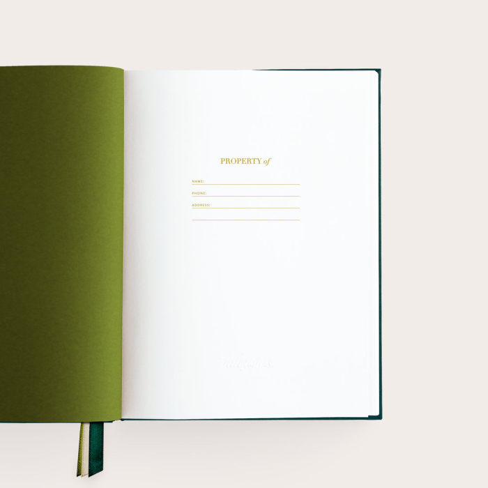 Agenda Thoughts, verde seaweed [2]