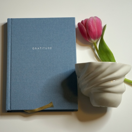 Cadouri speciale - Set jurnal ghidat  si ceasca alba Swan