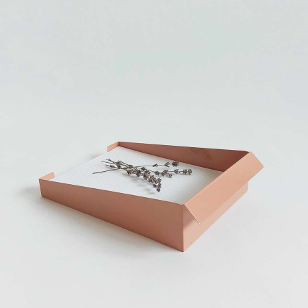 Tavi documente - Tava hartie A4, somon