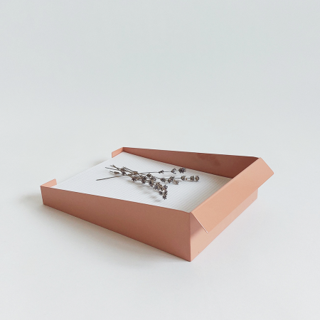 Tavi documente - Tava hartie A4, somon