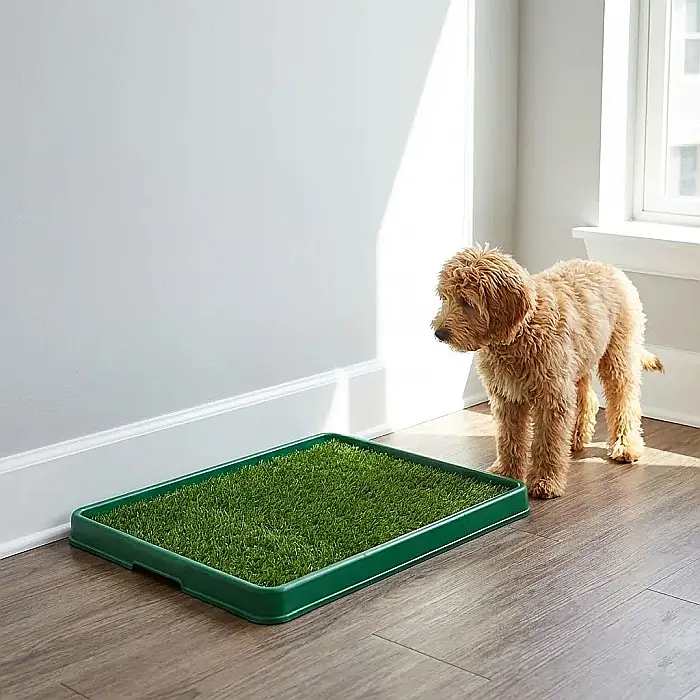 Toaletă Portabilă Potty Pad pentru Câini și Pisici – Sistem Inteligent cu 3 Straturi, Gazon Artificial Antibacterian, Grătar de Separare și Tavă Colectoare: Soluția Ideală de Igienă Interioară pentru  [2]