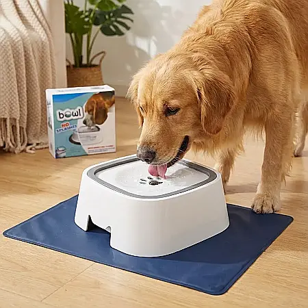 Animale - Bol Smartix Anti-Stropire pentru Animale – 1,5 L, Sistem Suspensie și Antialunecare, Stabil și Ușor de Curățat: Hidratare Impecabilă și Curățenie Desăvârșită pentru Câini și Pisici