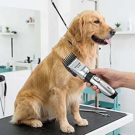 Mașină Profesională de Tuns Animale 8 în 1 Daling DL-D33 – Motor 12W, Lame Inox, Autonomie 150 min, Silențioasă, Accesorii Incluse [1]