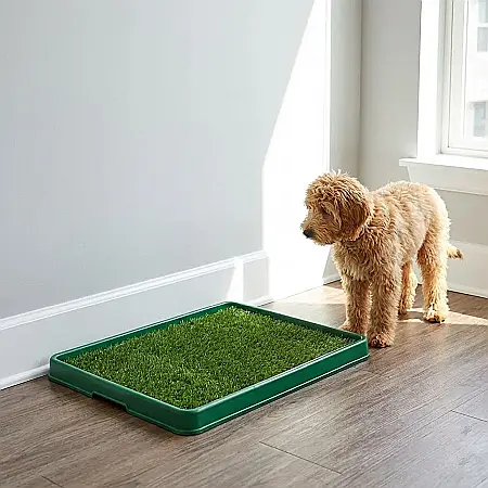 Toaletă Portabilă Potty Pad pentru Câini și Pisici – Sistem Inteligent cu 3 Straturi, Gazon Artificial Antibacterian, Grătar de Separare și Tavă Colectoare: Soluția Ideală de Igienă Interioară pentru  [1]