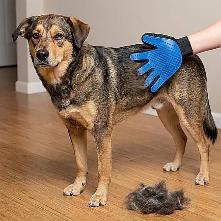 Mănușă pentru Animale cu Zimți – Curățare și Masaj Blană Câini și Pisici, Îndepărtează Părul Mort și Relaxant pentru Animale, Material Hipoalergenic, Mărime Universală [1]