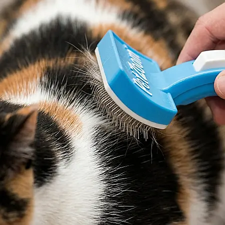 Perie pentru Animale Pet Zoom – Sistem de Auto-Curățare, Ajustabilă pentru Păr Scurt sau Lung, Blândă și Confortabilă pentru Câini și Pisici, Ideală pe Blană Uscată și Umedă [3]