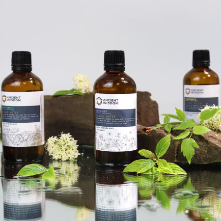 hidrolat-musetel-100ml-natural-vegan.jpg [1]