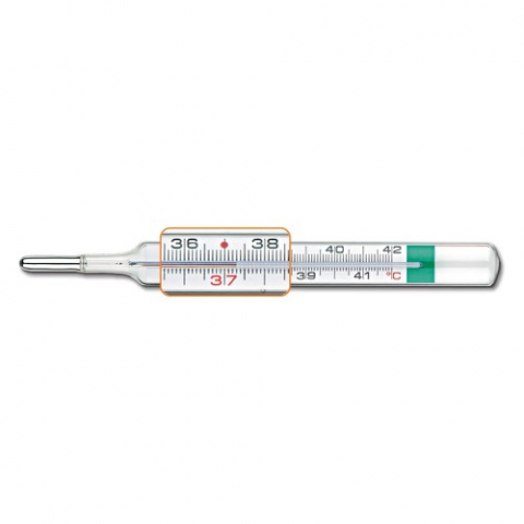 Mama si copil - Termometru clasic cu dispozitiv de resetare si lupa VedoEco Plus Zephyr Labs