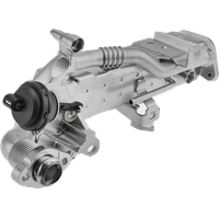 EGR + racitor gaze