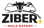 www.ziber.ro