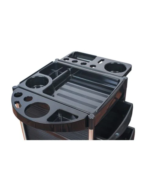 Ucenic profesional pentru salon, rotativ, cu sertare, suport feon [2]