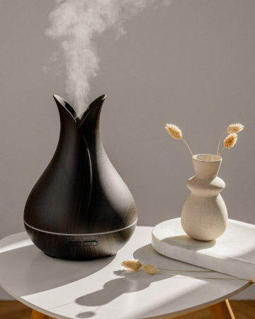 Difuzor de aromaterapie [3]