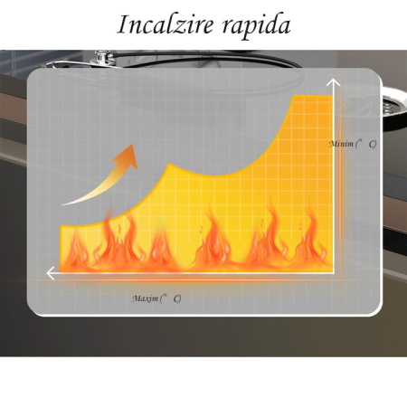 Sterilizator cu Aer Cald, WX-12C ,220v [2]