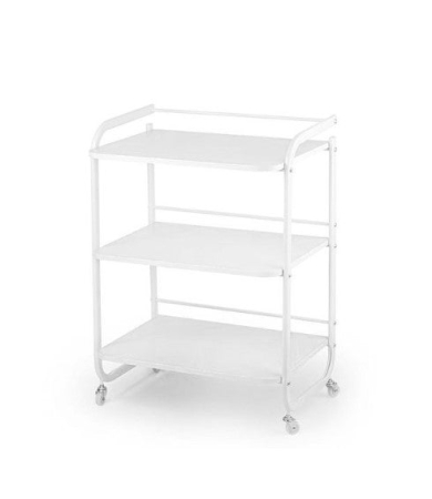 Ucenici - Ucenic pentru salon, cosmetica, frizerie, 3 polite din lemn, 53L