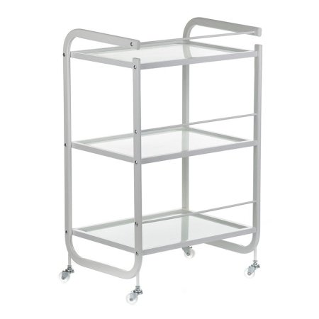 Ucenic profesional pentru cosmetica, cu 3 polite din sticla, 48L [2]