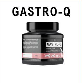 QUEBECK GASTRO Q 200G [1]