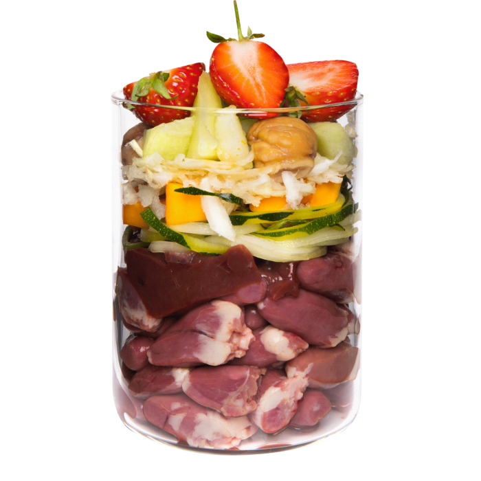 Terra Canis Grain Free Duck 800g(Rață cu dovleac, căpșuni și floare de soc) [2]