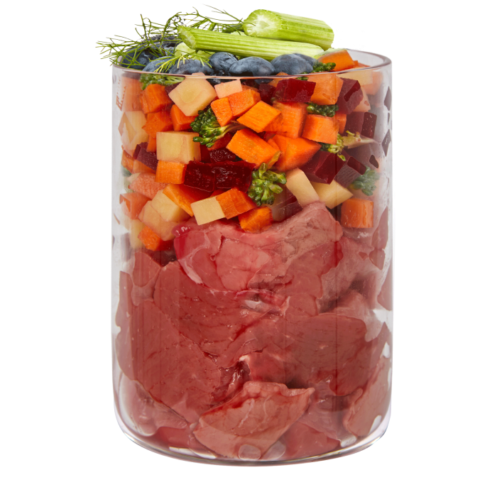 Terra Canis Marktragout Beef 385g(Carne de vită cu broccoli, afine și salvie) [2]
