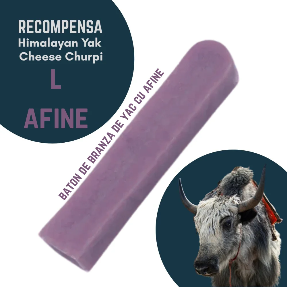 RECOMPENSE - Baton branza de Yak Himalaya Churpi L cu Afine - recompensa caini
