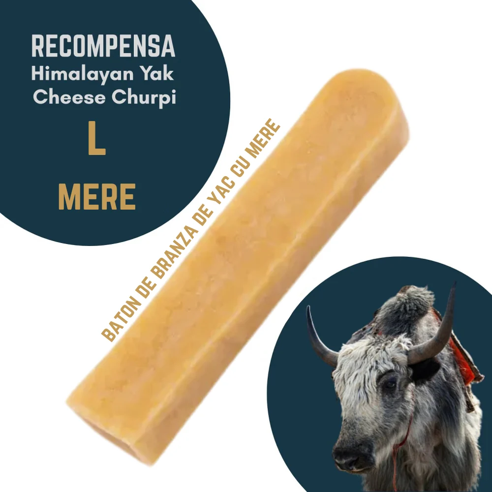 RECOMPENSE - Baton branza de Yak Himalaya Churpi L cu Mere - recompensa caini