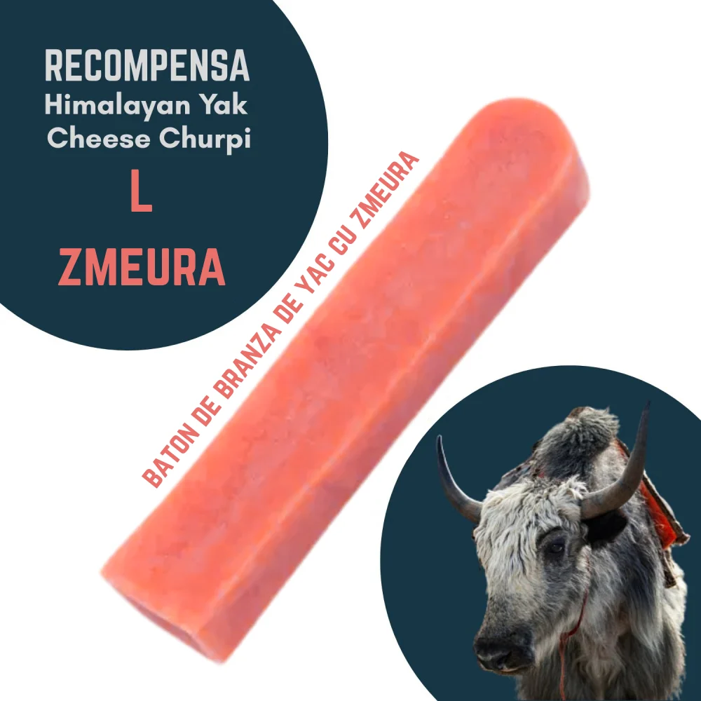 RECOMPENSE - Baton branza de Yak Himalaya Churpi L cu Zmeura - recompensa caini