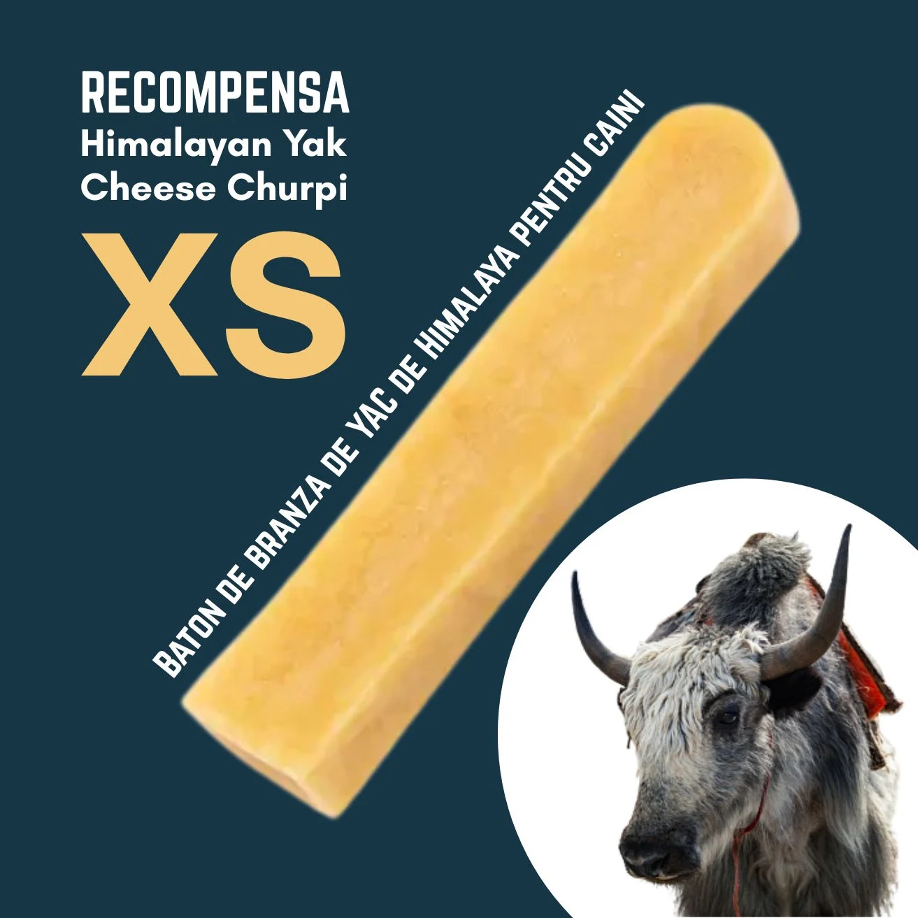 RECOMPENSE - Baton branza de Yak Himalaya Churpi XS - recompensa caini