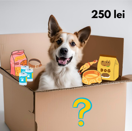 Promotii si oferte - MYSTERY BOX CAINE - Un cadou misterios pentru caini- 250 lei (specificati talie/varsta)