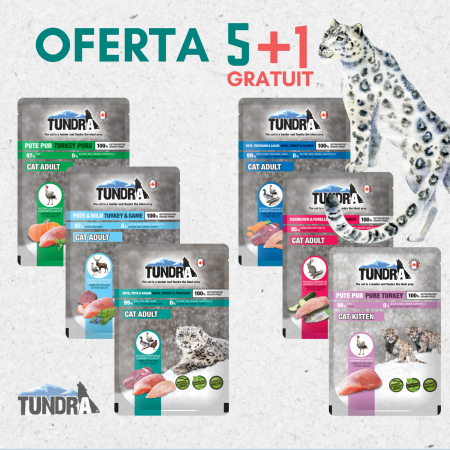 HRANA UMEDA - PROMOTIE LIMITATA: 5 + 1 PLICURI TUNDRA PISICA SORTIMENTE DIFERITE