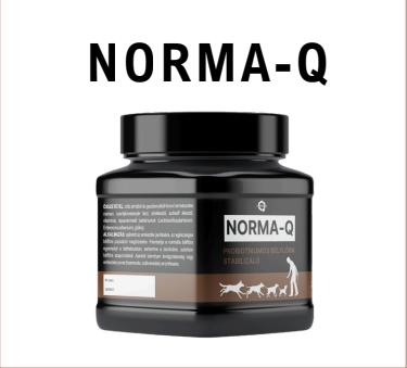 PISICI - QUEBECK NORMA Q 250G