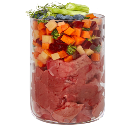 Terra Canis Marktragout Beef 385g(Carne de vită cu broccoli, afine și salvie) [1]