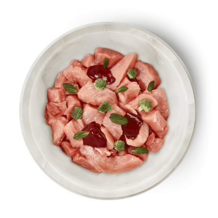 Terra Felis Cat Rabbit Turkey 80g (Iepure și Curcan) [1]