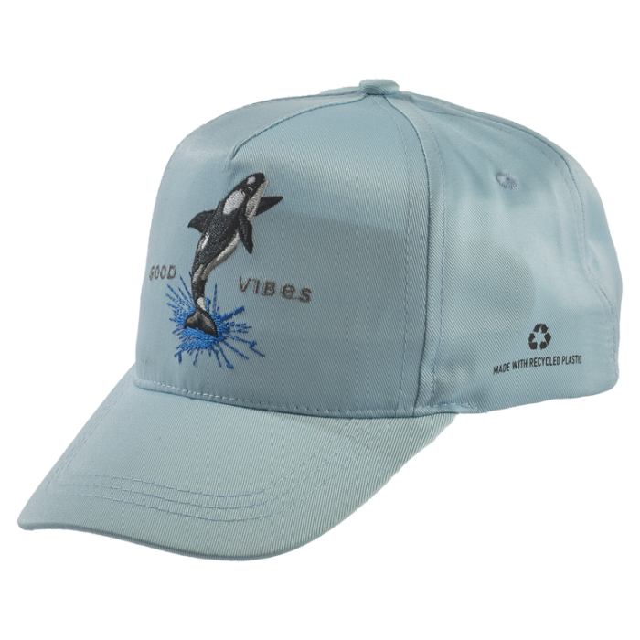 Balena Sapca albastra - adult [1]