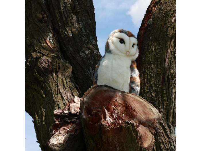 Bufnita de plus 27 cm ECO-FRIENDLY [2]