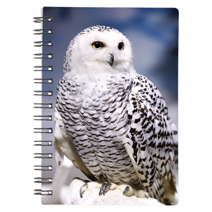 Caiet 3D Bufnita de zapada 9x13 cm [1]