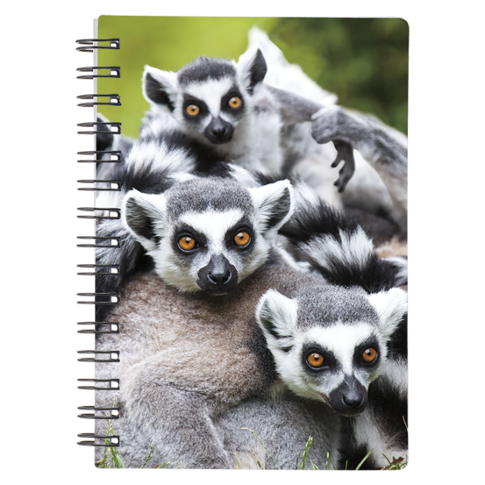 Caiet 3D Lemur cu coada inelata 9x13 cm [1]