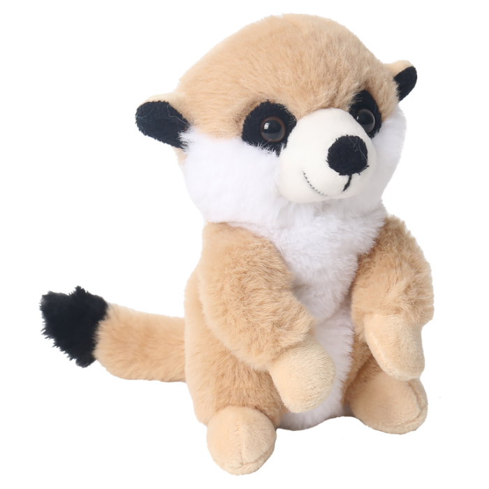 ECOsoft Suricata 16 cm [1]