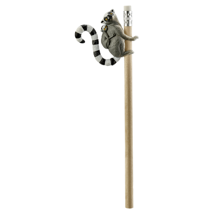 Lemur cu coada inelata cu varf de creion [1]