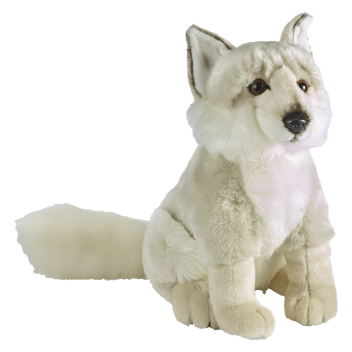 Lup alb sezand 36 cm [1]