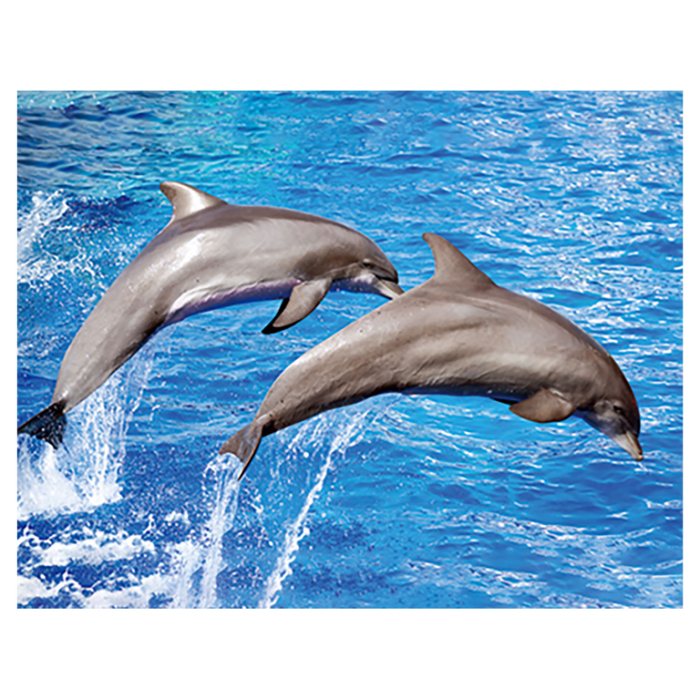 Magnet 3D Delfin 7x9 cm [1]
