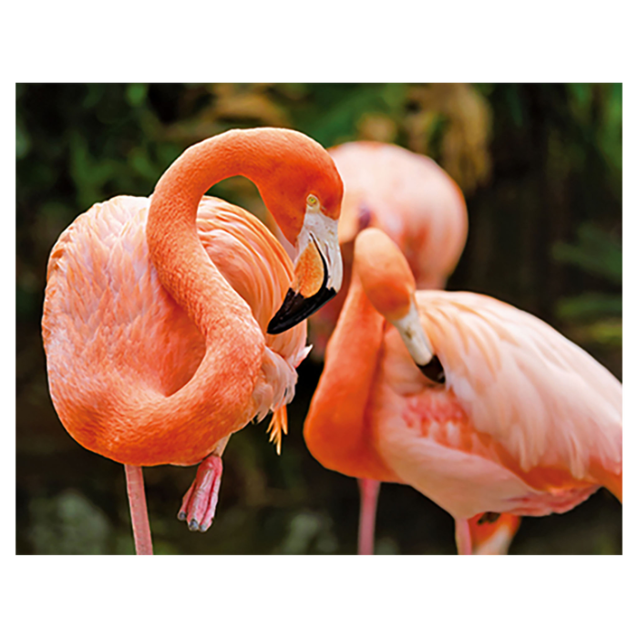 Magnet 3D Flamingo 7x9 cm [1]