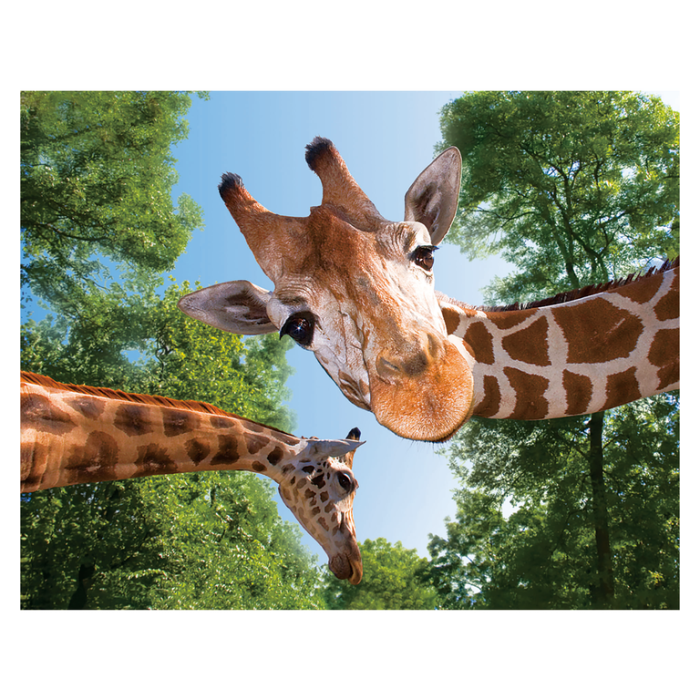 Magnet 3D Girafa 7x9 cm [1]