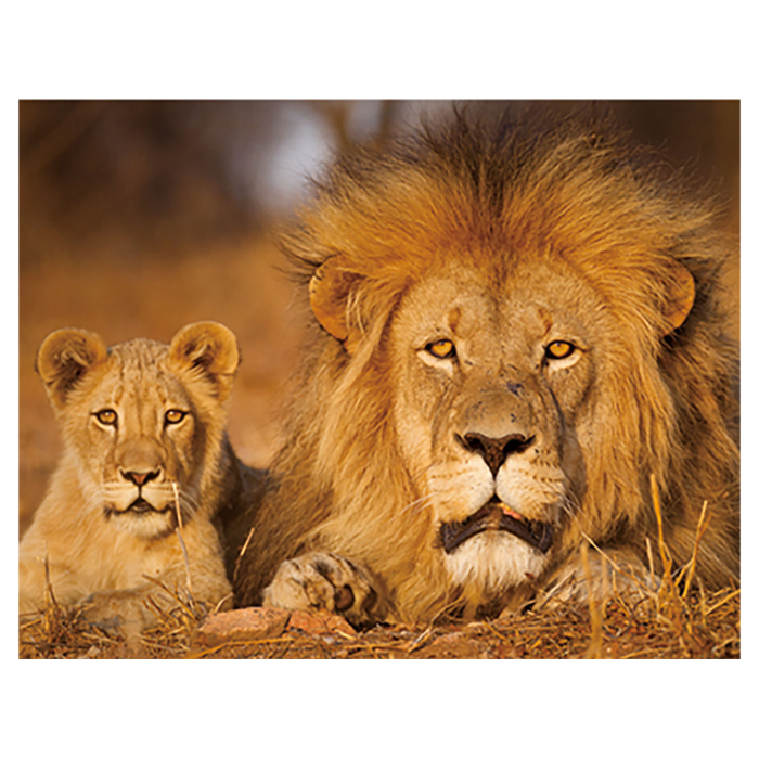 Magnet 3D Leu 7x9 cm [1]