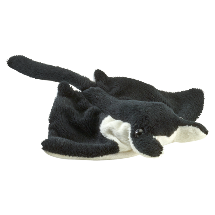 Mini manta 13 cm [1]